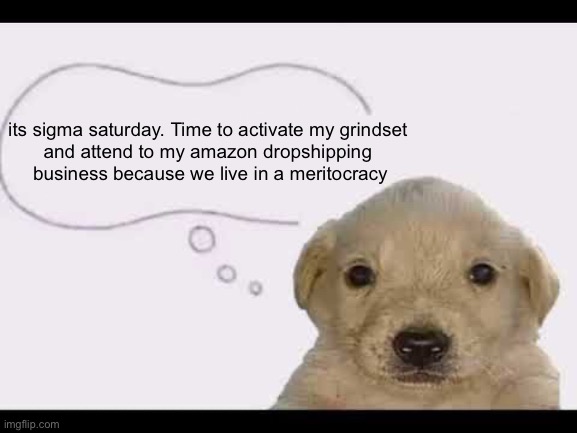 its sigma saturday. Time to activate my grindset 
and attend to my amazon dropshipping 
business because we live in a meritocracy | image tagged in sigma male,puppy,grindset | made w/ Imgflip meme maker