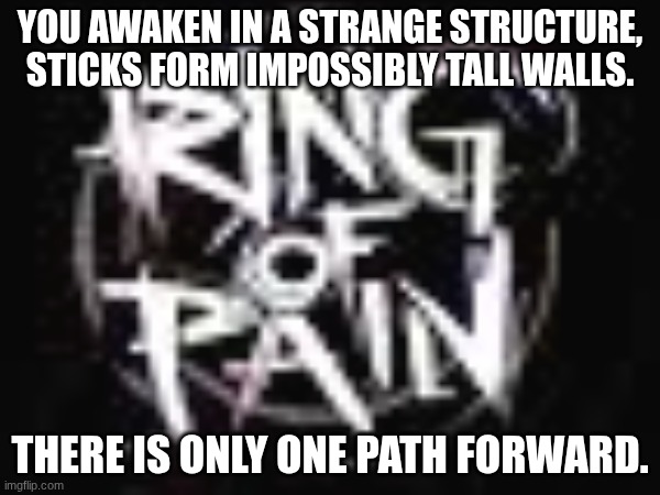 Remake of an Old Rp! | YOU AWAKEN IN A STRANGE STRUCTURE, STICKS FORM IMPOSSIBLY TALL WALLS. THERE IS ONLY ONE PATH FORWARD. | image tagged in violence,horror | made w/ Imgflip meme maker
