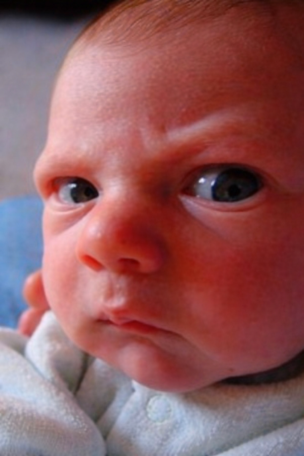 Angry baby Blank Meme Template