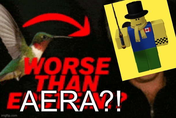 Worse than (my online friend) | AERA?! | image tagged in memes | made w/ Imgflip meme maker