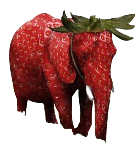 Strawberry Elephant Blank Meme Template