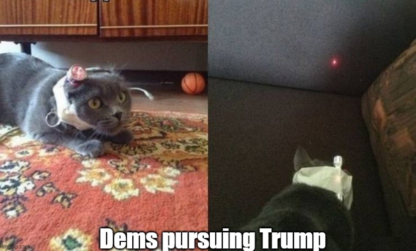 Dems pursuing Trump | made w/ Imgflip meme maker