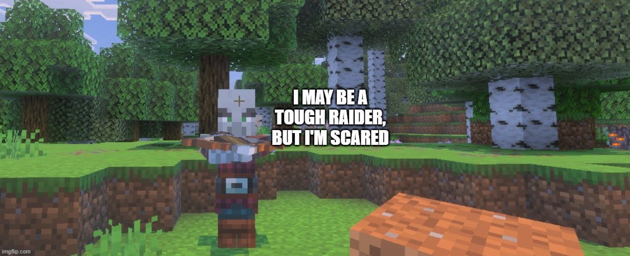 Pillager | I MAY BE A TOUGH RAIDER, BUT I'M SCARED | image tagged in pillager | made w/ Imgflip meme maker