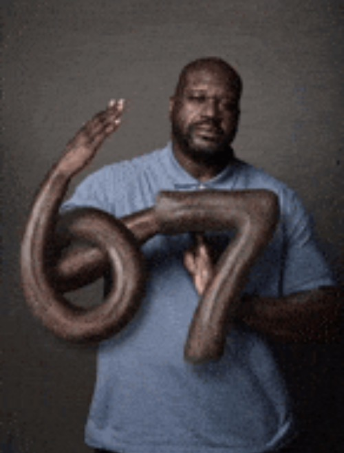 Shaquille 67 Blank Meme Template