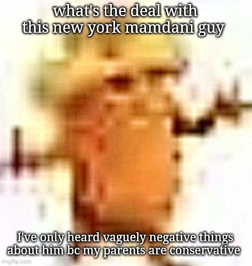 the lowrax | what's the deal with this new york mamdani guy; I've only heard vaguely negative things about him bc my parents are conservative | image tagged in the lowrax | made w/ Imgflip meme maker