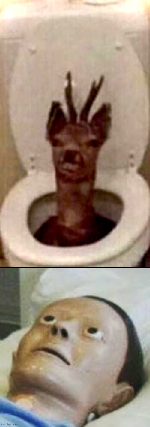 Cursed Deer | image tagged in cursed images,excuse me wtf,what a terrible day to have eyes,deer,trauma,mannequin | made w/ Imgflip meme maker