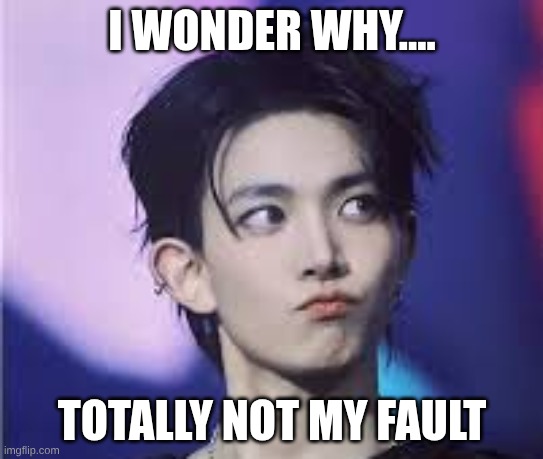 I WONDER WHY.... TOTALLY NOT MY FAULT | made w/ Imgflip meme maker