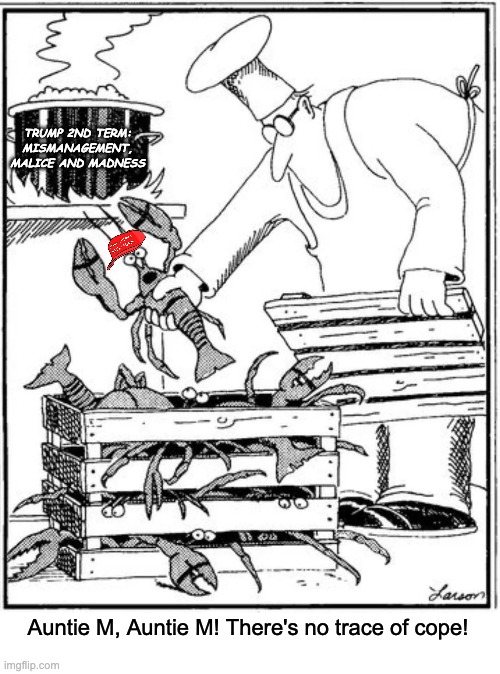 Inspired by Modda | TRUMP 2ND TERM:
MISMANAGEMENT,
MALICE AND MADNESS; Auntie M, Auntie M! There's no trace of cope! | image tagged in memes,far side,maga,idiocracy | made w/ Imgflip meme maker