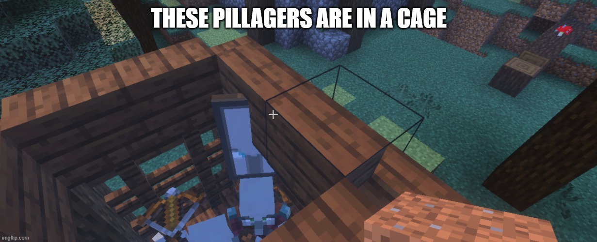 Two Illager Captains at Pillager Outpost | THESE PILLAGERS ARE IN A CAGE | image tagged in two illager captains at pillager outpost | made w/ Imgflip meme maker