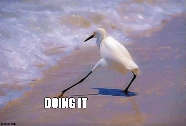 Dont do that bird | DOING IT | image tagged in dont do that bird | made w/ Imgflip meme maker