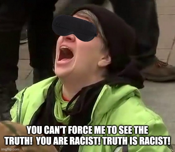 Crying liberal | YOU CAN'T FORCE ME TO SEE THE TRUTH!  YOU ARE RACIST! TRUTH IS RACIST! | image tagged in crying liberal | made w/ Imgflip meme maker