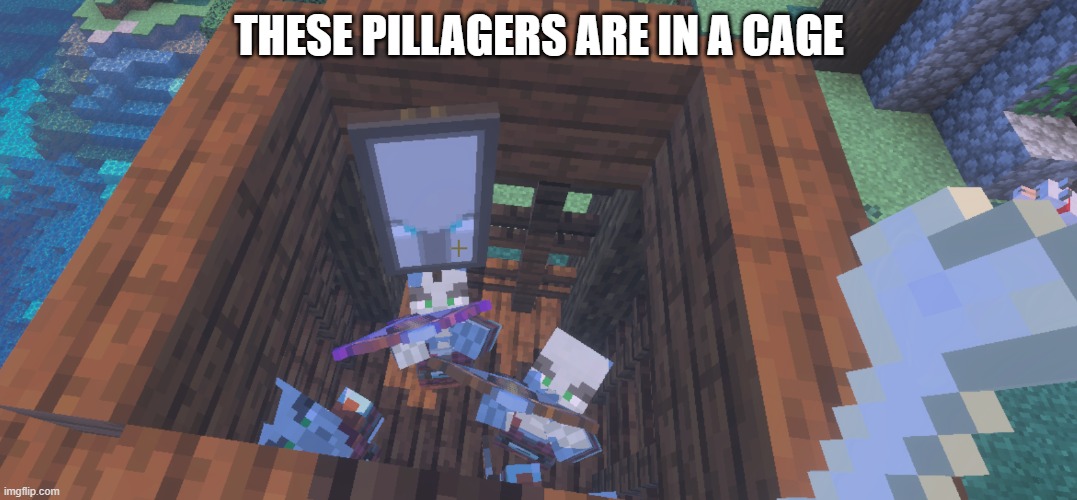 Two Illager Captains at Pillager Outpost | THESE PILLAGERS ARE IN A CAGE | image tagged in two illager captains at pillager outpost | made w/ Imgflip meme maker
