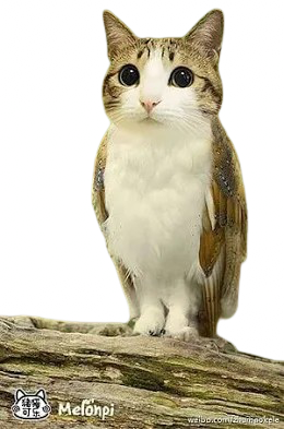 slopiest meme Blank Meme Template