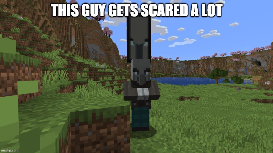 Vindicator That Is A Raid Captain | THIS GUY GETS SCARED A LOT | image tagged in vindicator that is a raid captain | made w/ Imgflip meme maker