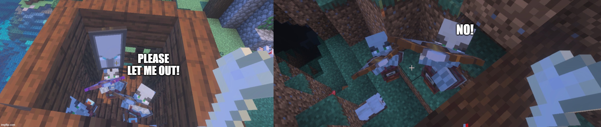 NO! PLEASE LET ME OUT! | image tagged in two illager captains at pillager outpost,pillagers | made w/ Imgflip meme maker