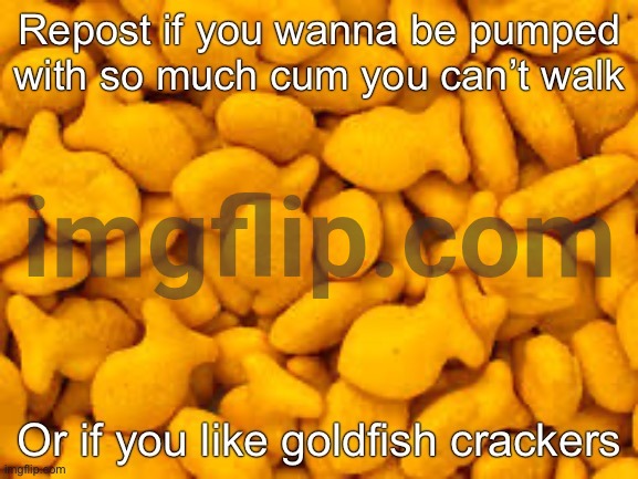 Goldfish crackers | image tagged in goldfish crackers | made w/ Imgflip meme maker