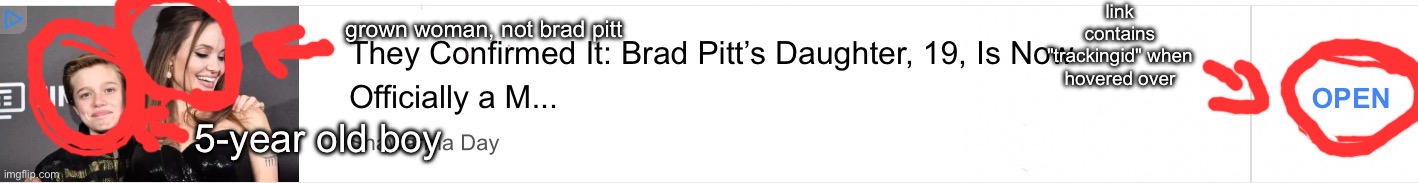 WHO are they fooling with ts | link contains "trackingid" when hovered over; grown woman, not brad pitt; 5-year old boy | made w/ Imgflip meme maker