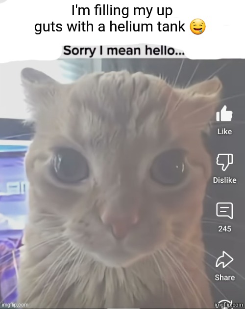 ____..sorry..I mean hello | I'm filling my up guts with a helium tank 🤤 | image tagged in ____ sorry i mean hello | made w/ Imgflip meme maker