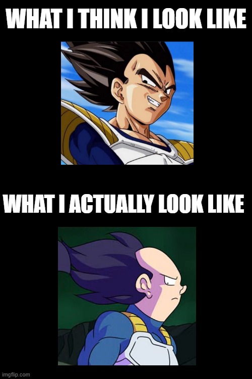 thanks Kishinpain for drawing True Vegeta | WHAT I THINK I LOOK LIKE; WHAT I ACTUALLY LOOK LIKE | image tagged in memes,vegeta,kishinpain,parody,dragon ball,check my profile for my stream | made w/ Imgflip meme maker