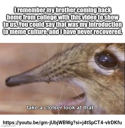 I remember my brother coming back home from college with this video to show to us. You could say that was my introduction to meme culture, and I have never recovered. https://youtu.be/gm-jUbjWBWg?si=j4tSpCT4-vlrDKfu | image tagged in blank white template,take a closer look at that snout,smams | made w/ Imgflip meme maker