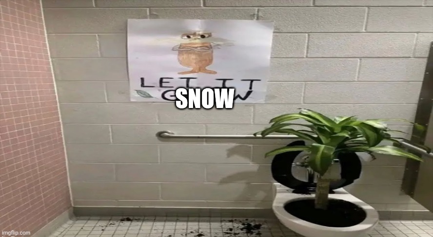 It's snowing where I am tn | SNOW | image tagged in let it grow | made w/ Imgflip meme maker