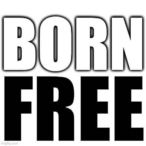 WE ARE ALL BORN FREE AND NO MAN CAN TAKE THAT AWAY FROM US | BORN; FREE | image tagged in memes,born free,civil rights,bill of rights,freedom of speech,freedom | made w/ Imgflip meme maker