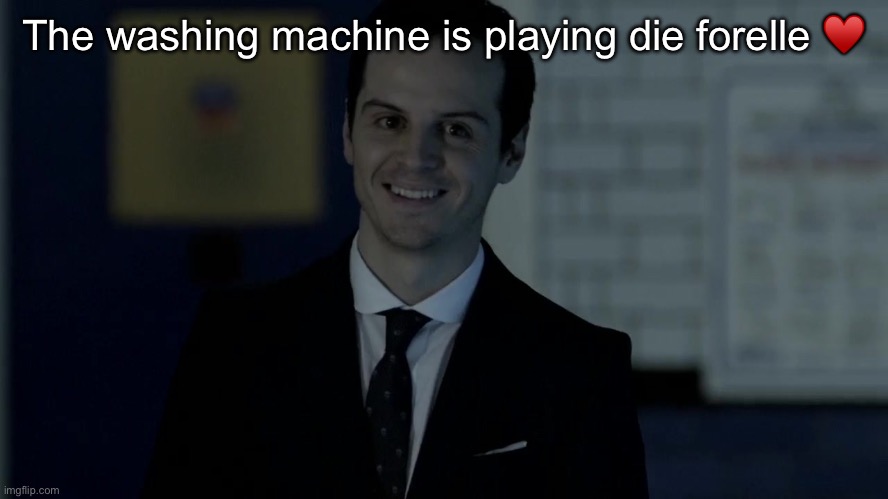 Smiles maliciously | The washing machine is playing die forelle ♥️ | image tagged in smiles maliciously | made w/ Imgflip meme maker