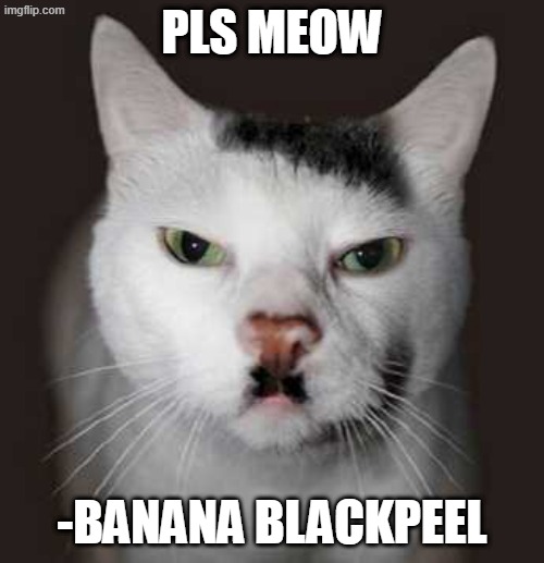 mappey mew yia | PLS MEOW; -BANANA BLACKPEEL | image tagged in banana blackpeel 2026,future cat,dream cat | made w/ Imgflip meme maker