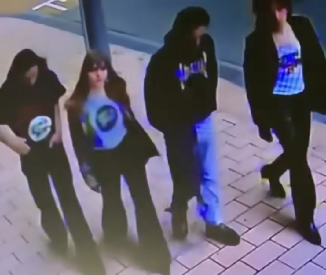 maneskin beggin you song Blank Meme Template