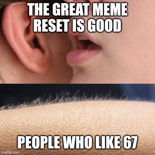 Whisper and Goosebumps | THE GREAT MEME RESET IS GOOD; PEOPLE WHO LIKE 67 | image tagged in whisper and goosebumps | made w/ Imgflip meme maker