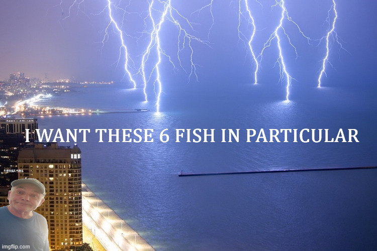 6 Fish | image tagged in durlearl | made w/ Imgflip meme maker