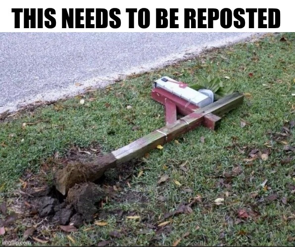 This Needs To Be Reposted | THIS NEEDS TO BE REPOSTED | image tagged in chrisjoines1 | made w/ Imgflip meme maker