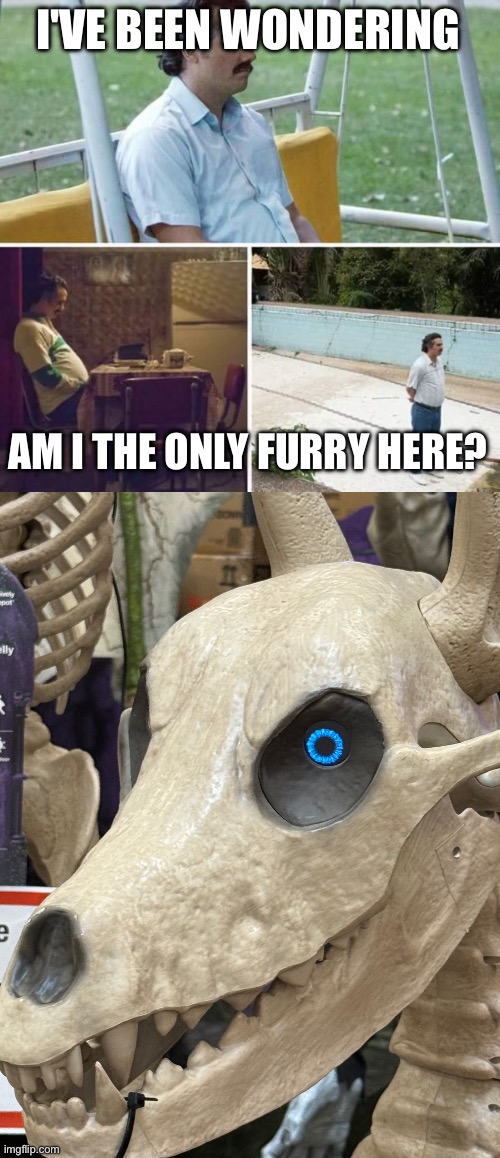 The image below may remind of you of a certain skeleton | I'VE BEEN WONDERING; AM I THE ONLY FURRY HERE? | image tagged in alone,no seriously am i the only one here | made w/ Imgflip meme maker