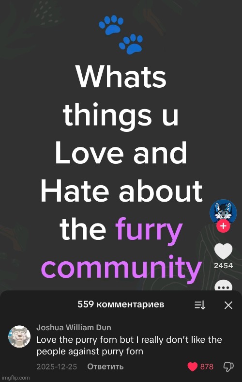 Raaah (*that one tiktok fire effect that takes half of the screen*) | made w/ Imgflip meme maker