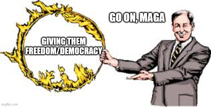 Jump through hoops | GO ON, MAGA; GIVING THEM FREEDOM/DEMOCRACY | image tagged in jump through hoops | made w/ Imgflip meme maker