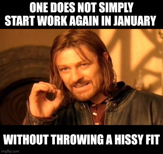 One Does Not Simply Meme | ONE DOES NOT SIMPLY START WORK AGAIN IN JANUARY; WITHOUT THROWING A HISSY FIT | image tagged in memes,one does not simply | made w/ Imgflip meme maker