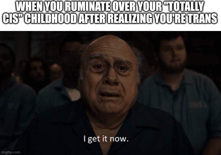It's so painfully obvious. How was I in denial for so long?! | WHEN YOU RUMINATE OVER YOUR "TOTALLY CIS" CHILDHOOD AFTER REALIZING YOU'RE TRANS | image tagged in danny devito i get it now,gender identity | made w/ Imgflip meme maker