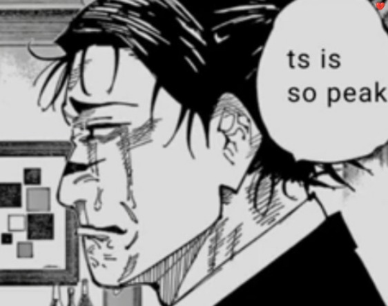 Ts is so peak | image tagged in ts is so peak | made w/ Imgflip meme maker