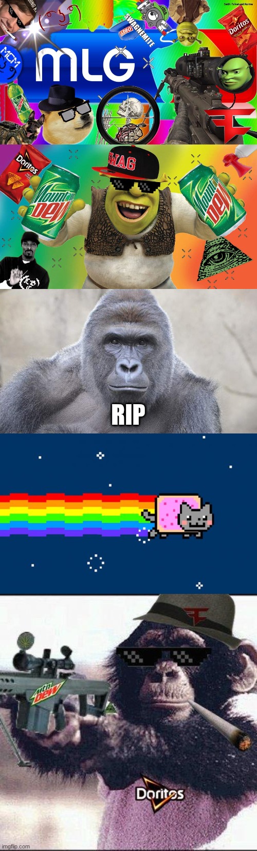 my contribution to the great meme reset | RIP | image tagged in mlg,mlg shrek,herambe,nyan cat | made w/ Imgflip meme maker