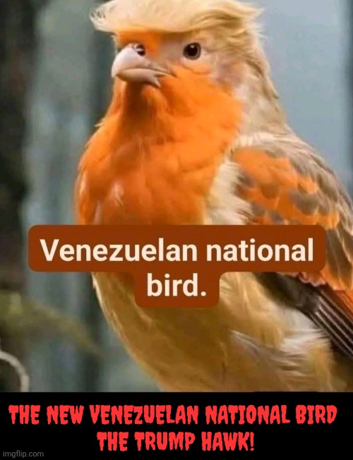 THE NEW VENEZUELAN NATIONAL BIRD 
THE TRUMP HAWK! | made w/ Imgflip meme maker