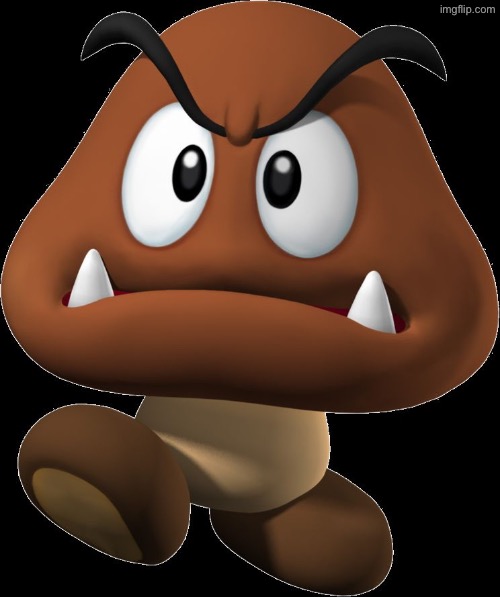 Goomba | image tagged in goomba | made w/ Imgflip meme maker