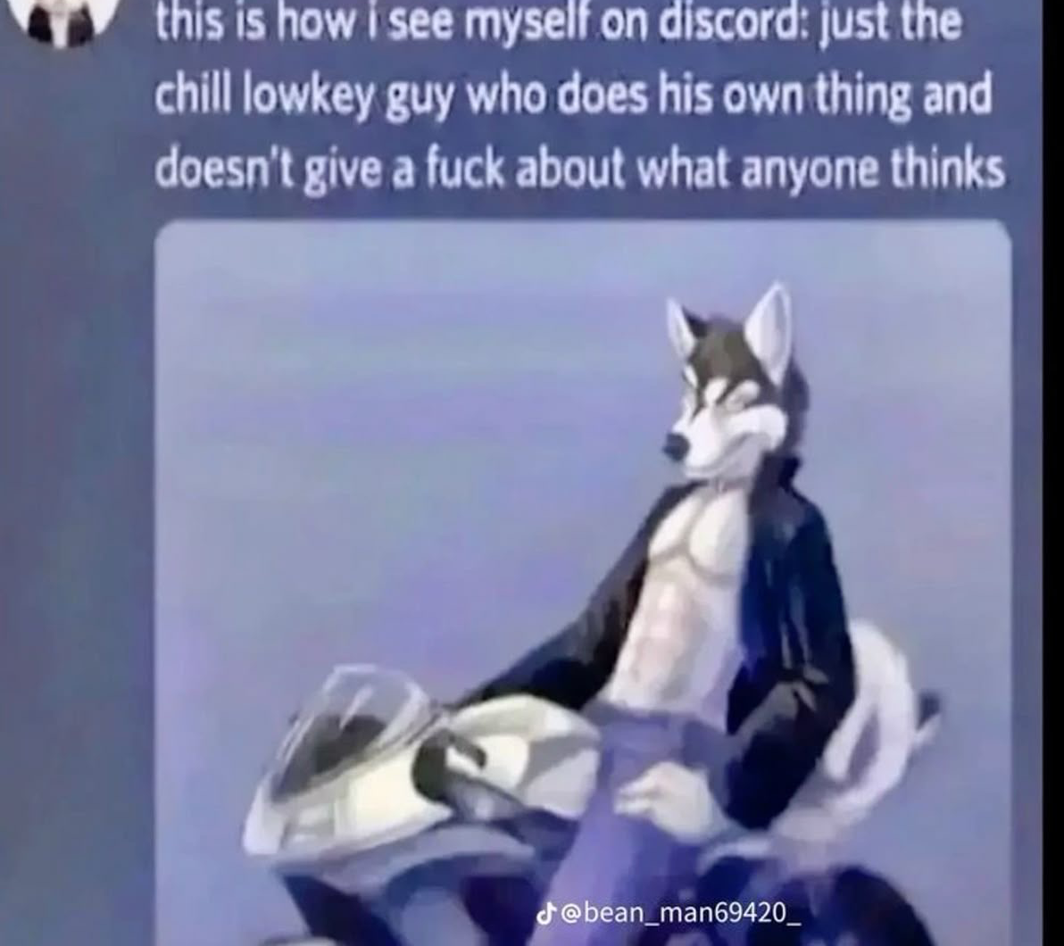 idiot Blank Meme Template