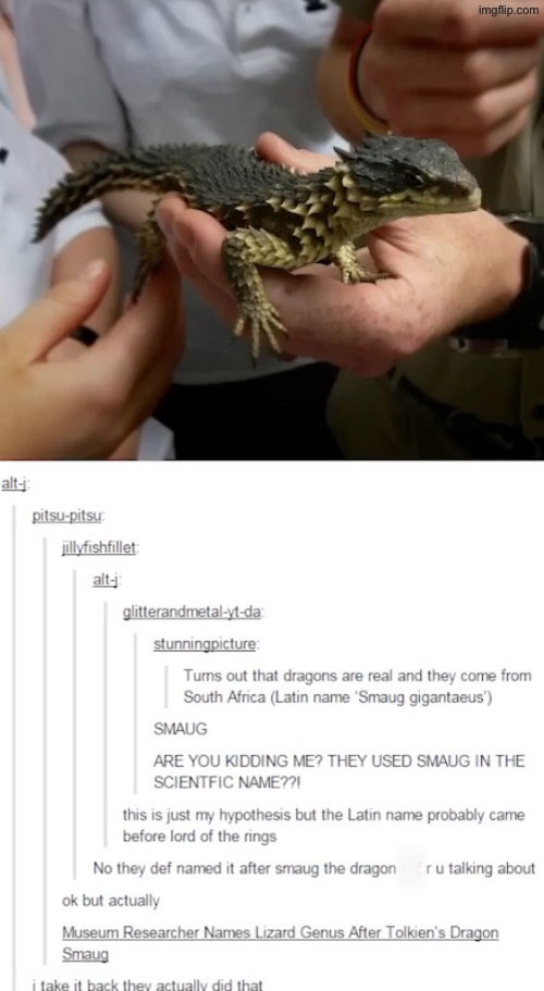 I miiiiight like dragons guys | made w/ Imgflip meme maker