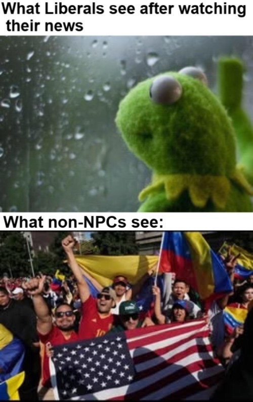 2020 Indictment upheld | image tagged in venezuela,liberal media,liberals,kermit window | made w/ Imgflip meme maker