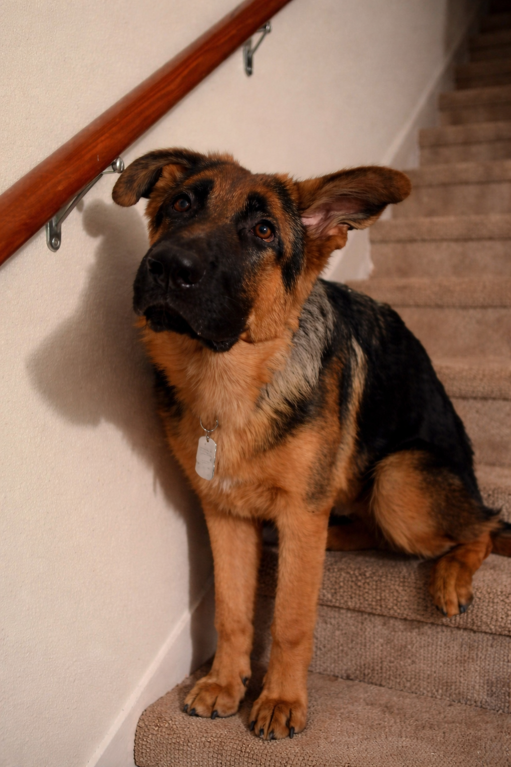 Chrisjoines1 Blank Meme Template