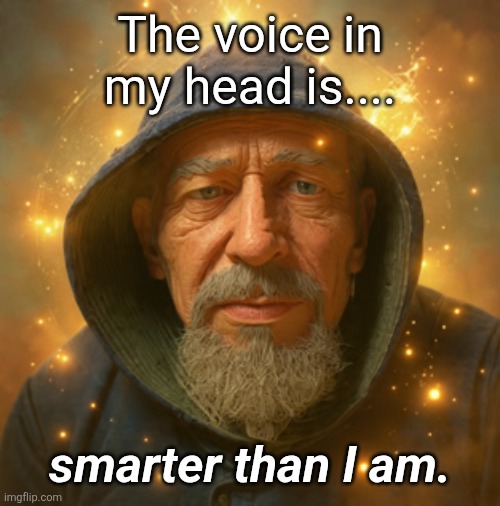Imspiration | The voice in my head is.... smarter than I am. | image tagged in wise old man | made w/ Imgflip meme maker