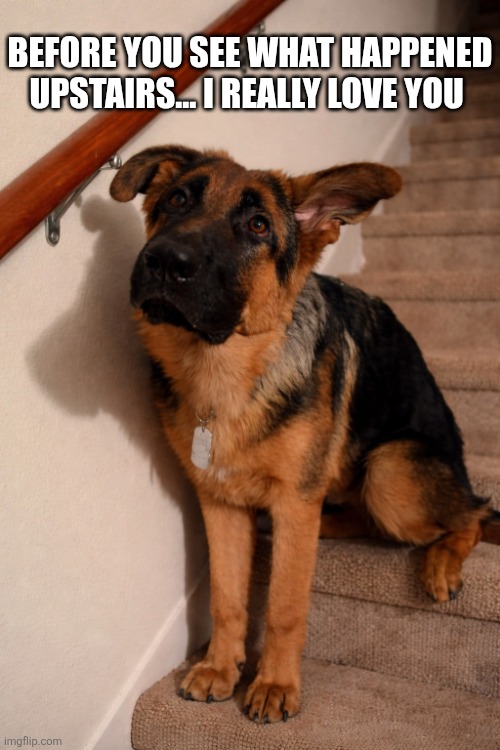 Before You See What Happened Upstairs | BEFORE YOU SEE WHAT HAPPENED UPSTAIRS... I REALLY LOVE YOU | image tagged in chrisjoines1 | made w/ Imgflip meme maker