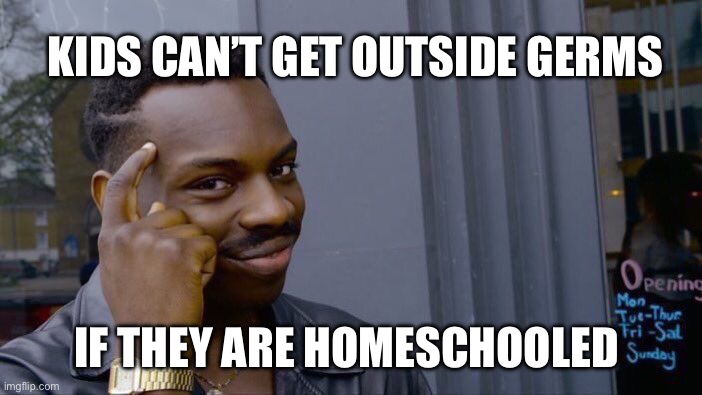 It definitely helps protect them | KIDS CAN’T GET OUTSIDE GERMS; IF THEY ARE HOMESCHOOLED | image tagged in memes,roll safe think about it | made w/ Imgflip meme maker