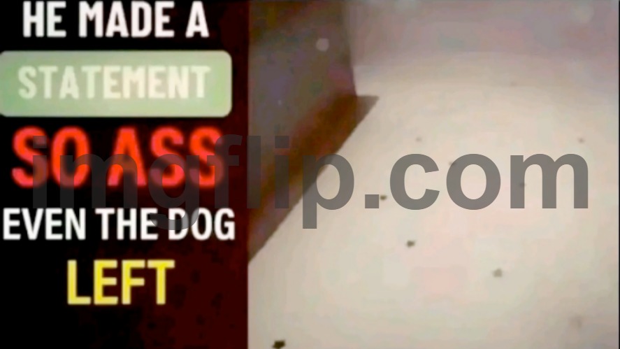 He made a statement so ass even the dog left | image tagged in he made a statement so ass even the dog left | made w/ Imgflip meme maker