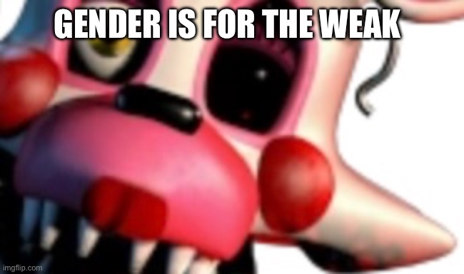 Gender is for the weak | GENDER IS FOR THE WEAK | image tagged in gender reveal,fnaf,gaming | made w/ Imgflip meme maker